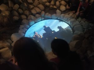 WhatsApp Image 2023-09-27 at 14.01.43i